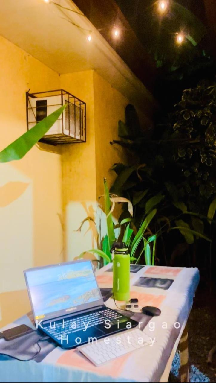 Ameeza Houze Homestay - Siargao جنرال لونا المظهر الخارجي الصورة